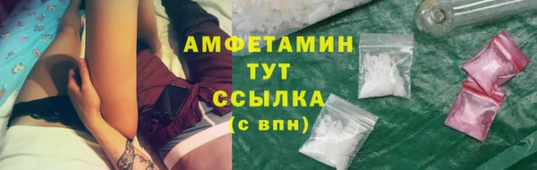 спиды Аркадак