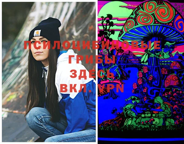 PSILOCYBIN Богородск