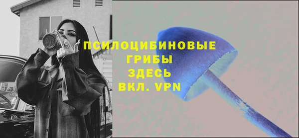 таблы Армянск