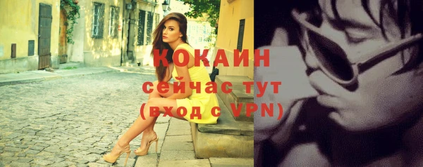 спиды Аркадак