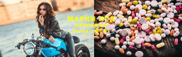 спиды Аркадак