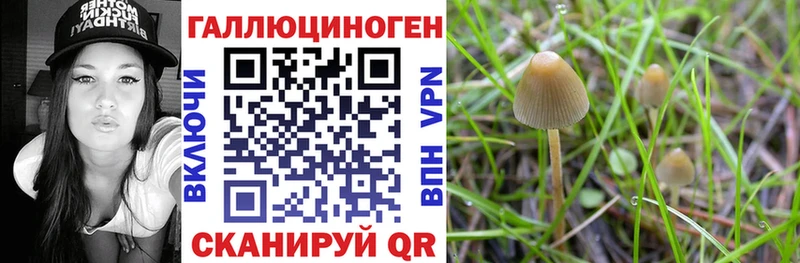Галлюциногенные грибы мухоморы  наркотики  сайты даркнета наркотические препараты  Козьмодемьянск 